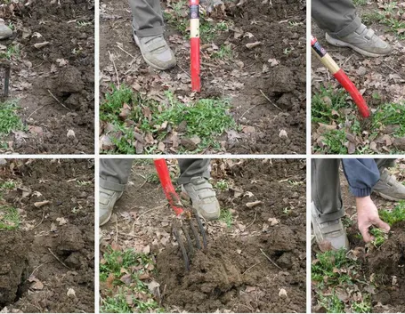 Preparazione del terreno per l'orto