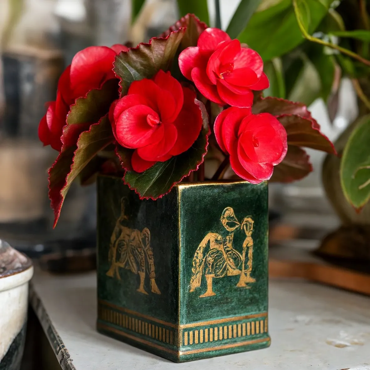 Pianta di begonia rossa