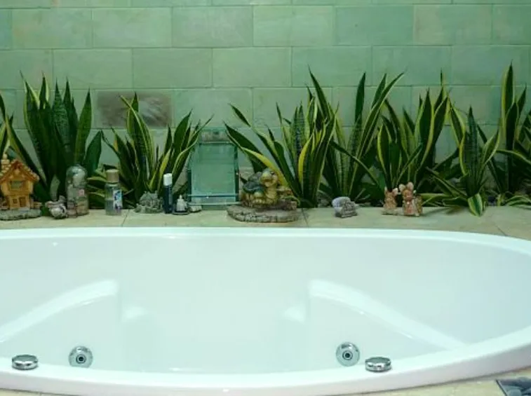 Vasca bagno piante