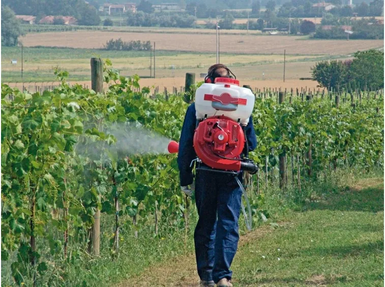 vigneto concimazione