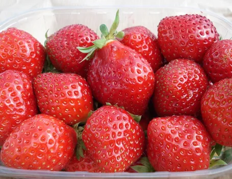 Cestino di fragole