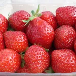 Cestino di fragole
