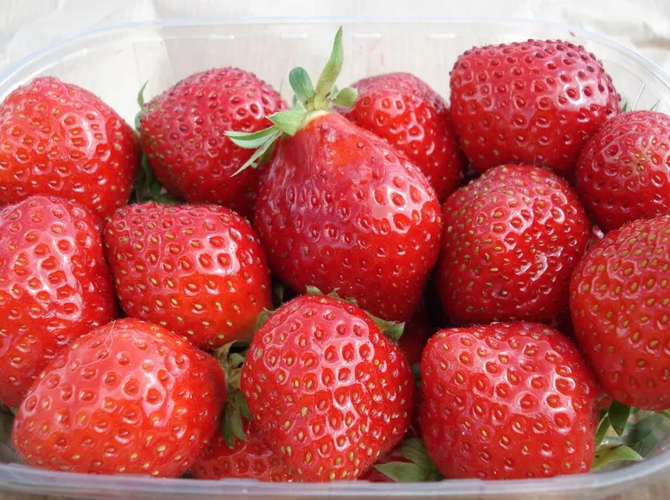 Cestino di fragole