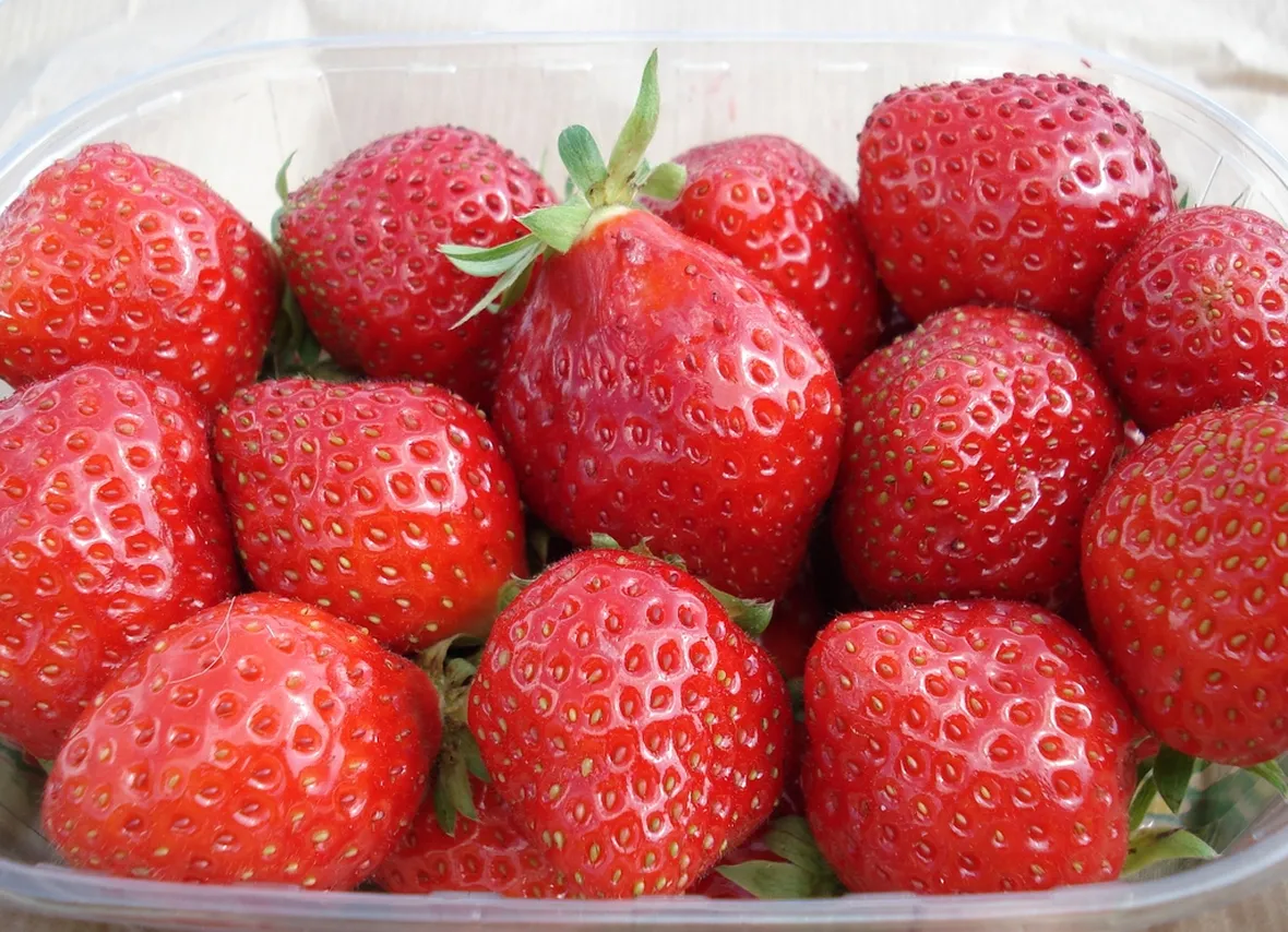 Cestino di fragole