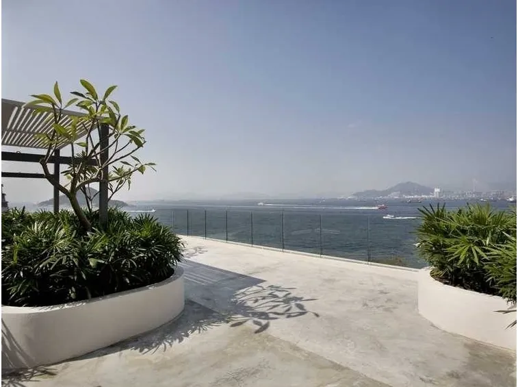 Piante grasse da balcone