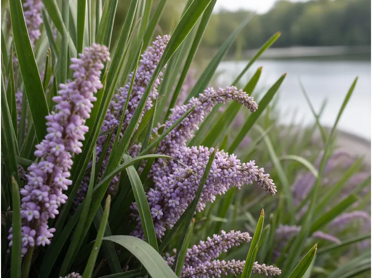 Giardino fiorito con lago naturale