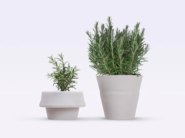 Soluzioni decorative per esterni