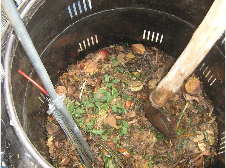 Il fertilizzante organico per le rose rampicanti