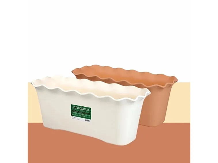 Vasi piante