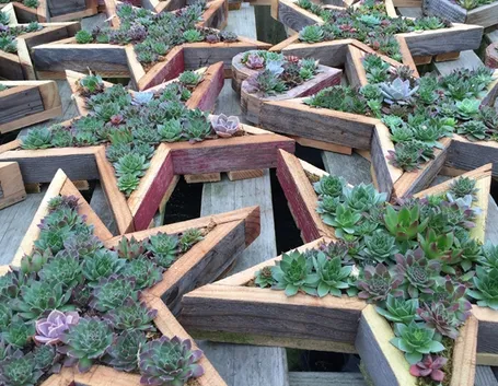 Idee originali per fioriere in legno