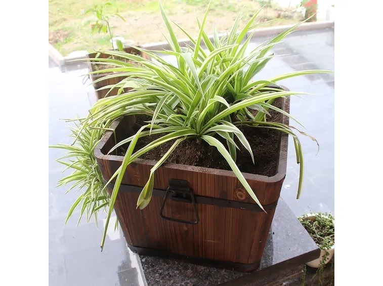 Vaso legno terrazzo