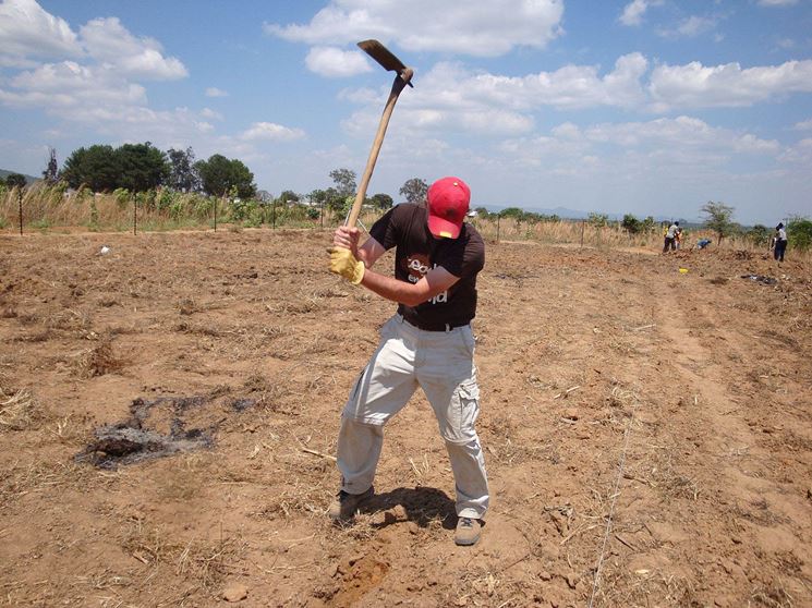 zappatura terreno