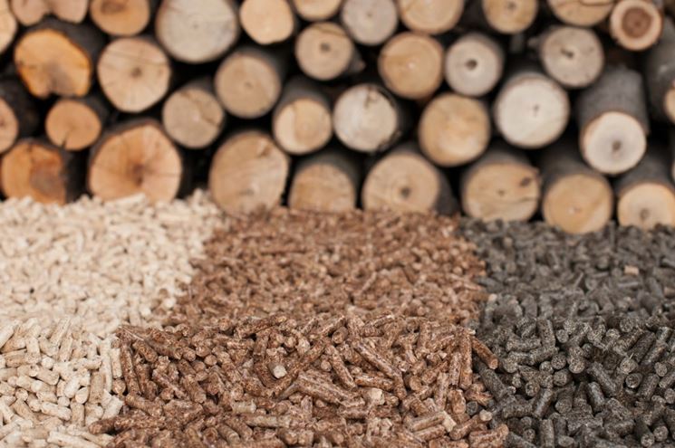 Varie tipologie di biomasse legnose