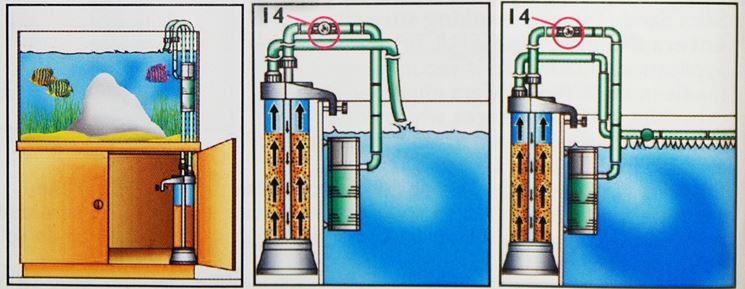 Sistema di filtraggio per acquari