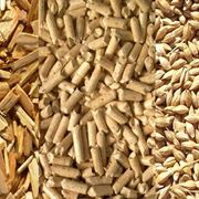 Vari tipi di biomasse