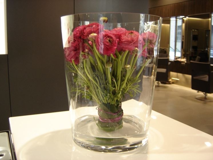 30 Rami Di Cotone Essiccato Naturale | Fiori Per Composizioni Floreali Fai Da Te | Decorazione Rustica Per Matrimonio E Casa | Lunghi 30-36 Cm
