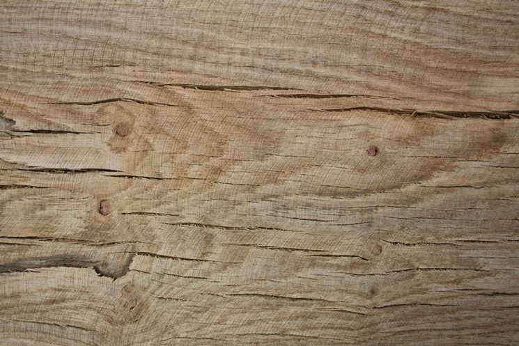 Legno di rovere