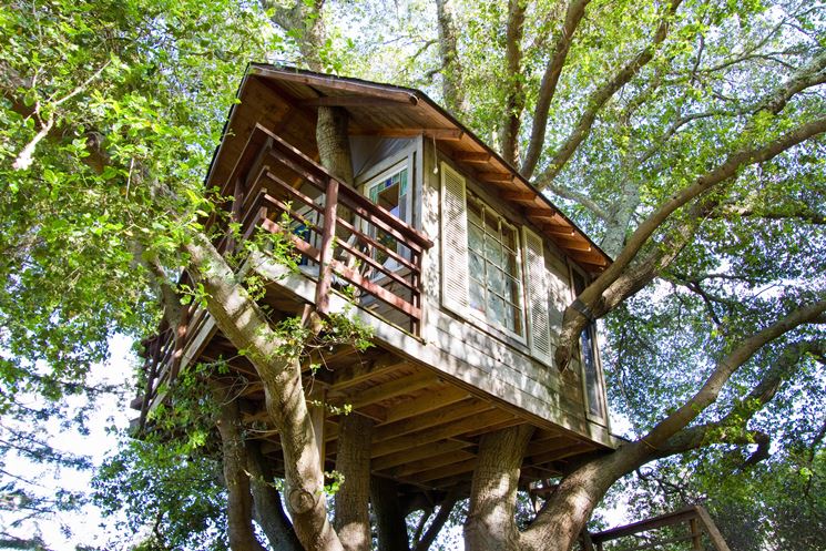 Casa sull'albero con rami