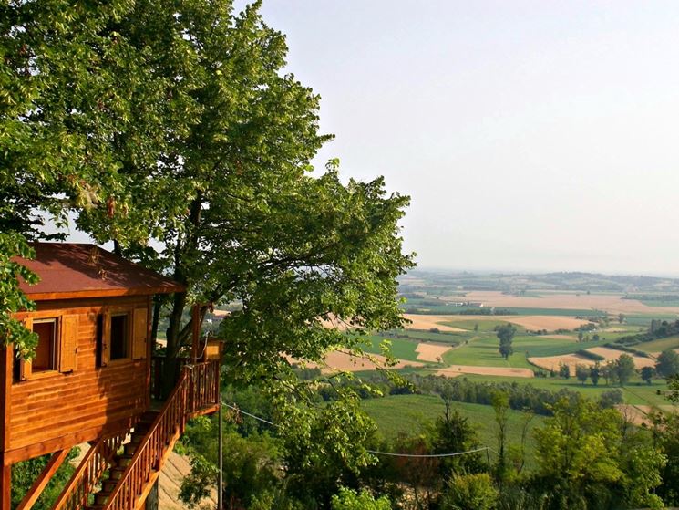 Casa sull'albero con terrazza