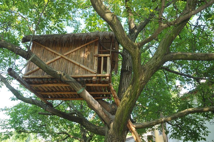 Casa sull'albero con canne