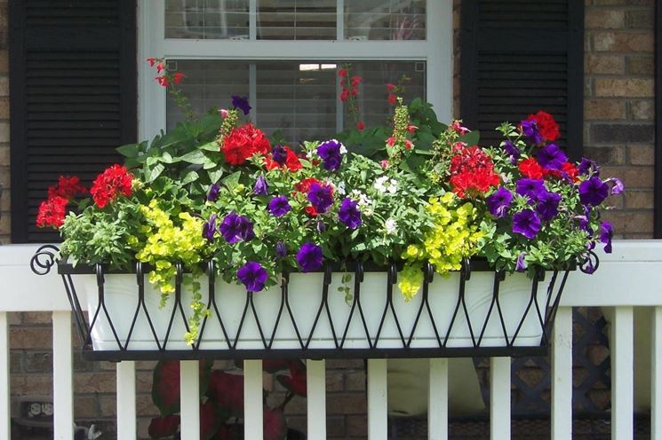 Balcone con vaso da fiori