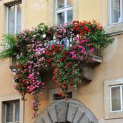 Balcone fiorito