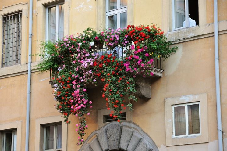 Balcone fiorito