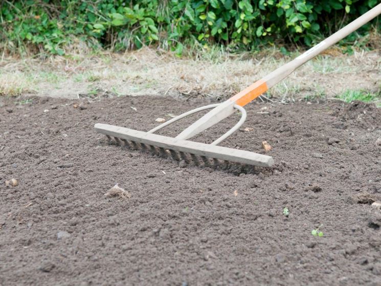 Preparazione del terreno