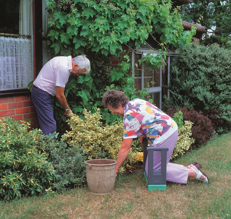 Giardinaggio fai da te