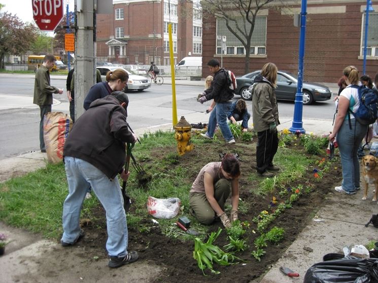 Guerrilla gardening