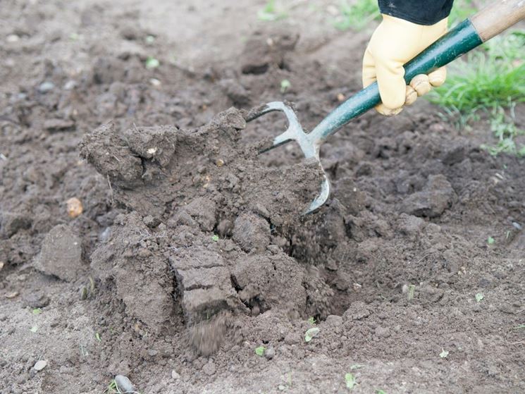 Preparazione del terreno per seminare il prato