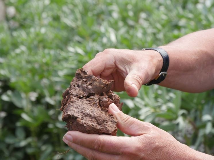 Terreno in cui  presente l'argilla