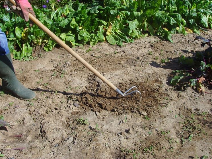 le lavorazioni del terreno sono d'aiuto