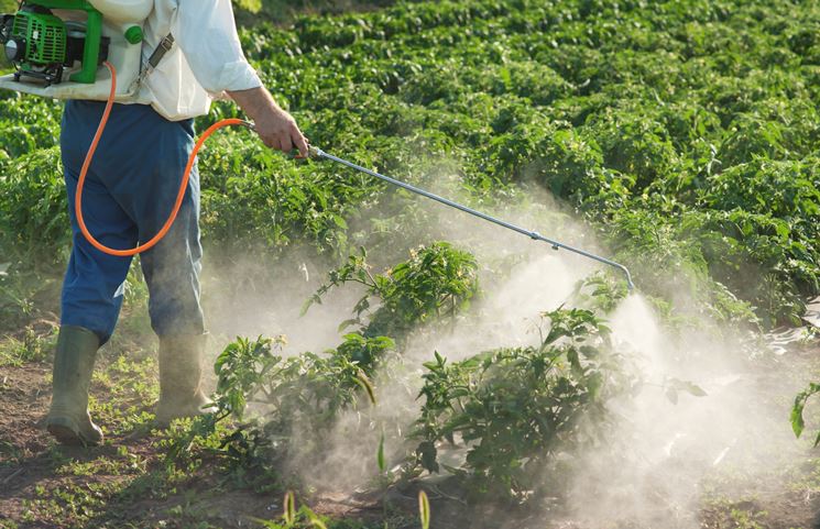 Trattamento con diserbante in corso