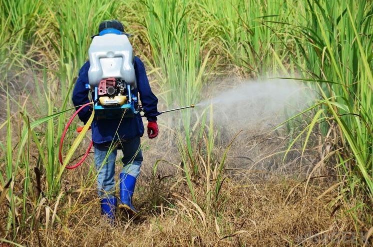 Trattamento con diserbante a pompa