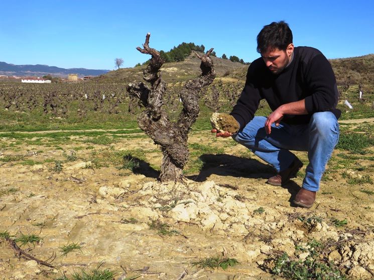 Consistenza del terreno calcareo