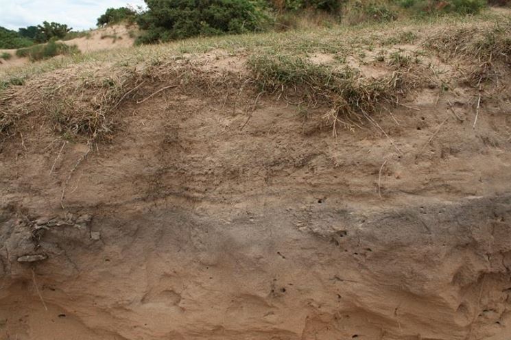 Terreno sabbioso esempio