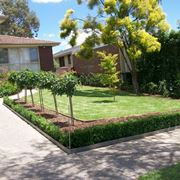 Vialetto giardino con piante
