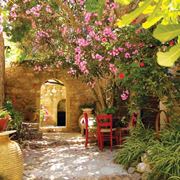 Angolo giardino mediterraneo