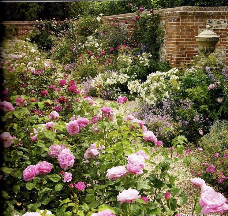 Tipico giardino inglese di rose