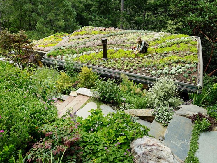 Esempio di giardino pensile