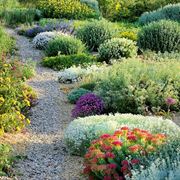 Esempio di giardino secco