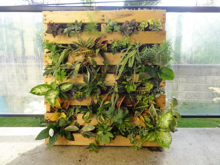 Giardino verticale realizzato con pallet