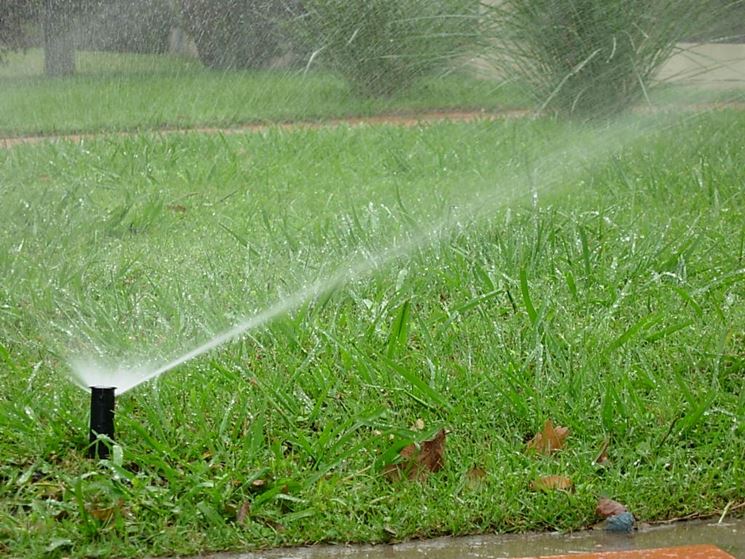 Esempio di irrigazione a pioggia