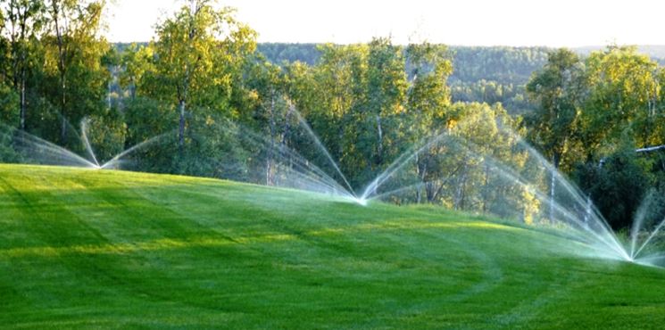 Esempio di campo con irrigazione interrata.