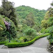 Lampioni in giardino