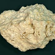 Roccia calcarea