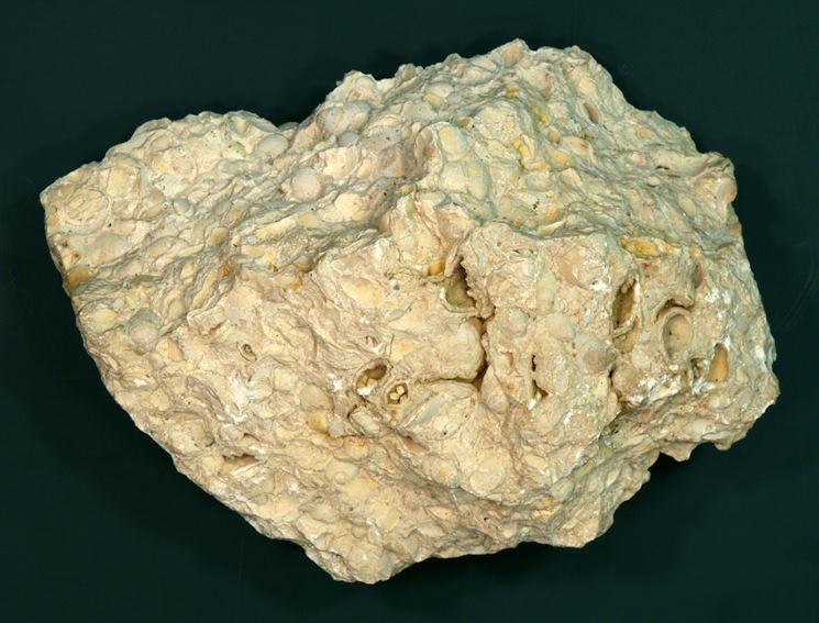 Roccia calcarea