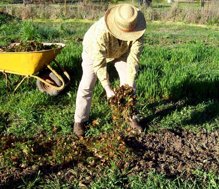 Concimazione naturale dell'orto