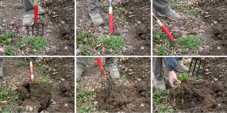 Preparazione del terreno per l'orto